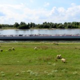 2008F 090 Rhein Radweg